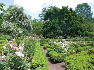 ���������� ������ �������� � ���������: ��� �������� ������� � �������� ������