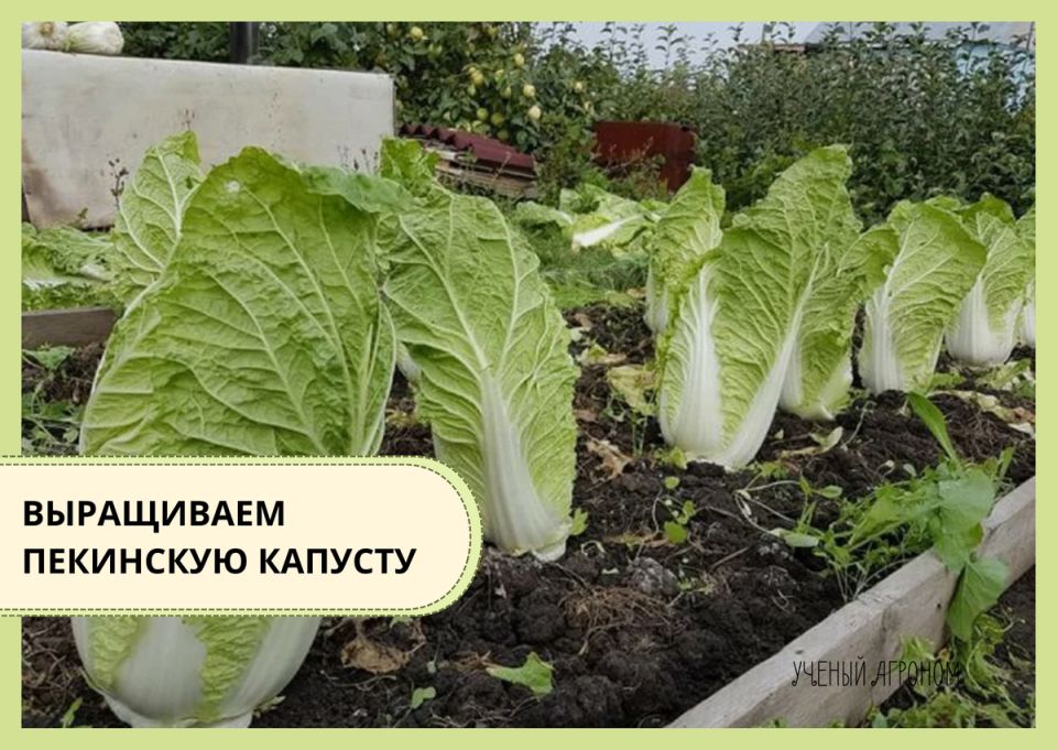 �������� �������: ������ ��������� ������� ������ � �������