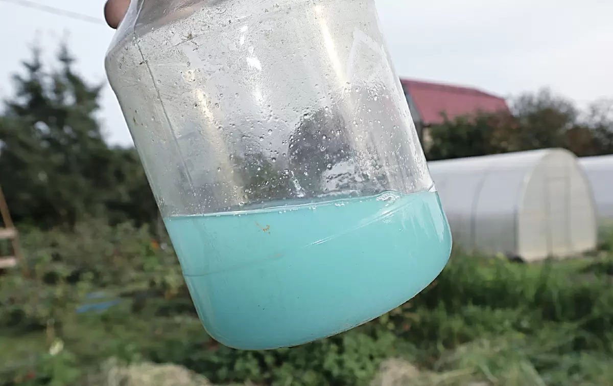 Как эффективно защитить сад весной: новый рецепт бургундской смеси