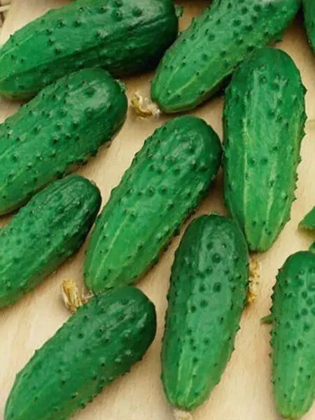 ������ �������: ��� �������� �������� ������ ����������