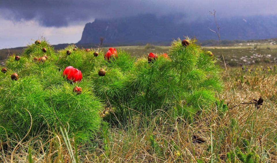 ����� ��������� ��������: ��� ��������� �������� ������ �����