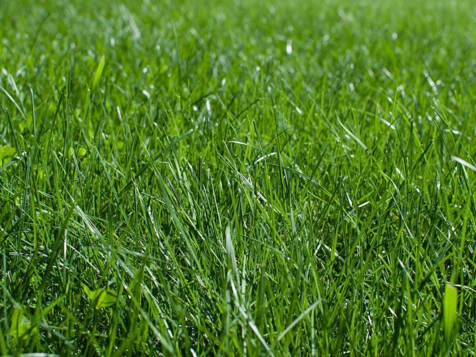 ����������� ����� �� �������