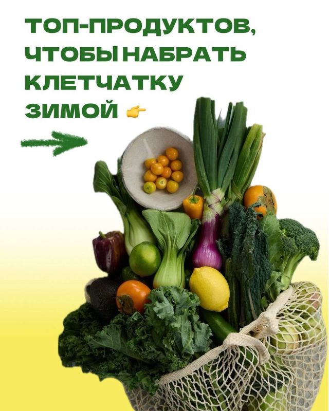 ��� ������ ���� ����� ���������� ��� ���������: ������� ���������