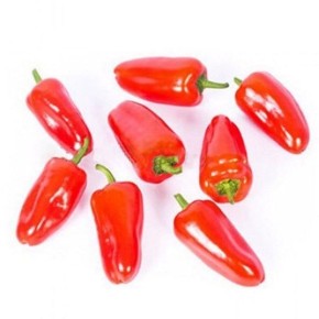 ����� ��� �����: ��������� ������ ��� ������ � ������ �������