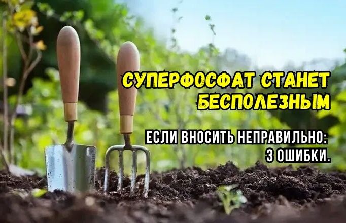 ������ ��� ������������� ������������ ������: ��� �������� ����������� ������