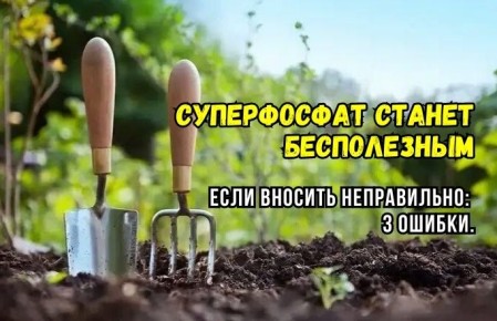 ������ ��� ������������� ������������ ������: ��� �������� ����������� ������