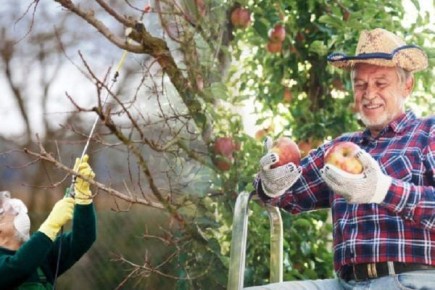 �������� ���� �� ��������: �������� ��� �� ���������� � ��������