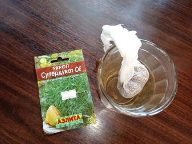 ��� ������ �������� � �������: ������ ��� �����������