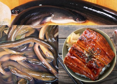 ������������ ������������ ������, ������� ����� �����������