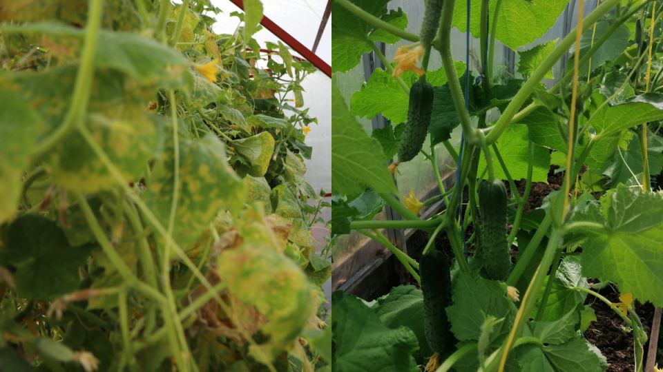 ��� ��������� ��������� ����� �������� ���� ������� �� �������