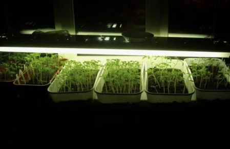 ��� ��������� ������������ ������� � �������: ������ ��� �������� ��������