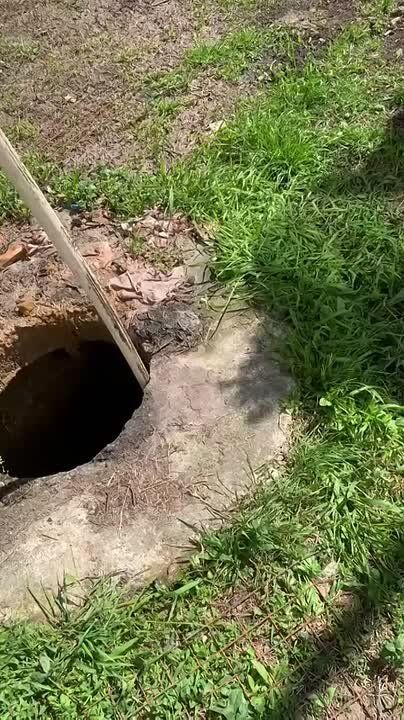 ������� ���������� �������� ���������� ��������� � ������ "���������" �������