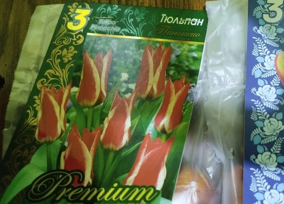 ������������ ��������: ���������, �� ������������ ������ �����