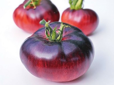 ��� ���� ����������� � �������� ������� ��������� � �������