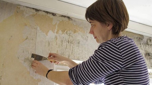 ��� �������� ������������ � �������� � ����� ����: ������������� ������� � ��������� �������