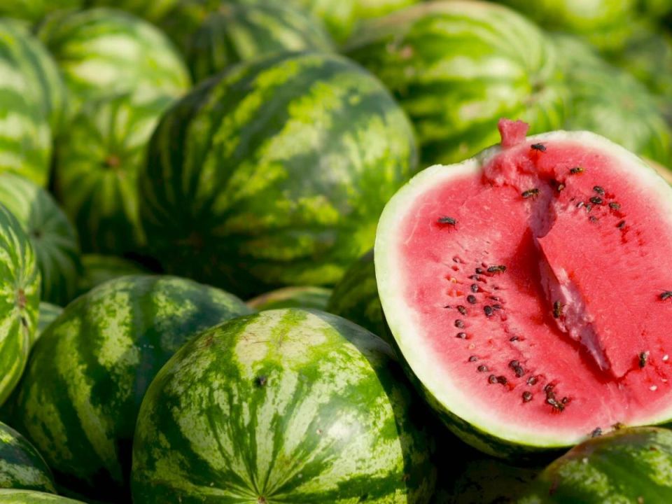 ��� ��������� ������� ������ ��� �������: ������� ����� ������