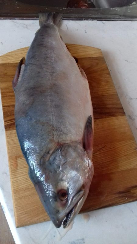 ��� ������� ������� � �����: �������� � ������� �������