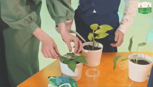 ��������� ��������� �������������� � ����� ������� ������ � ������ �������