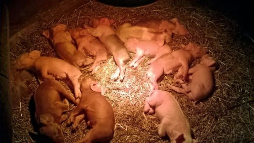 ��������� ���: ��� �������� ����� �� �������� ������ �������� ������