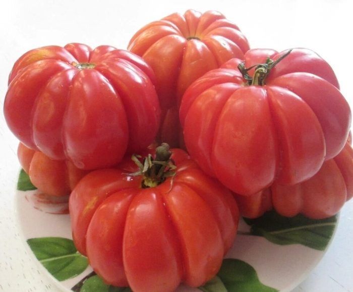 ����� ������� ���� ����: ������� ����� � ���������� ���� ��� �������