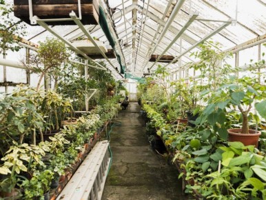 ��� �������� ������� ������� �� �������� ��������