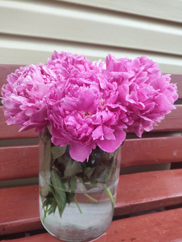 ������� ������: ��� ��������� �������� � ���������� ��� ������� ��������