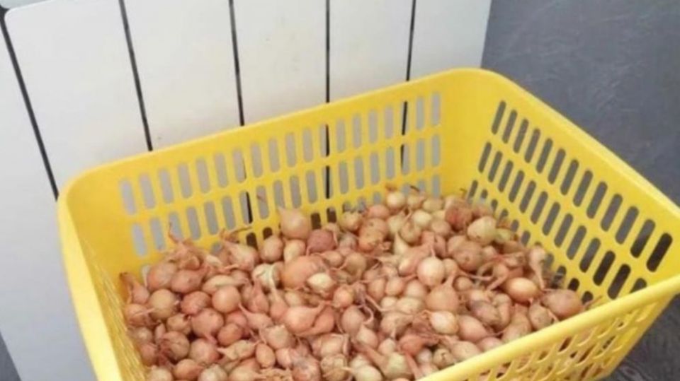 ��� ��������� ���������� ��� ����� ������: �������� ������ ��� �������� ������