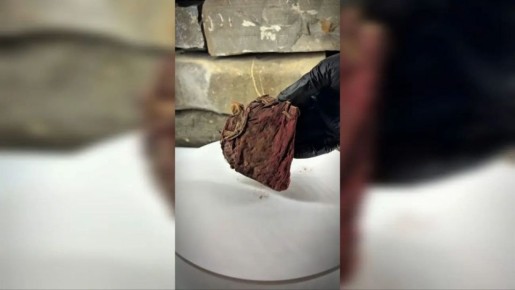 � �������� ��������� ������� ����� ������� ������� �������