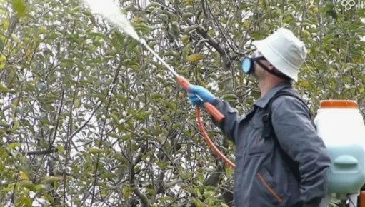 ����� ������ ������ ��������� ����: �������� ��� �������?