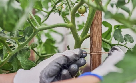 ��� ��������� ����������� � ����������� ������ ��� ������� ������