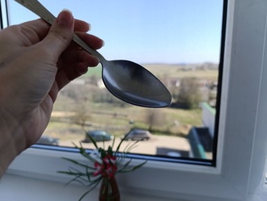 ��� �������� ��������� ������� ����, �� �������� � ���������