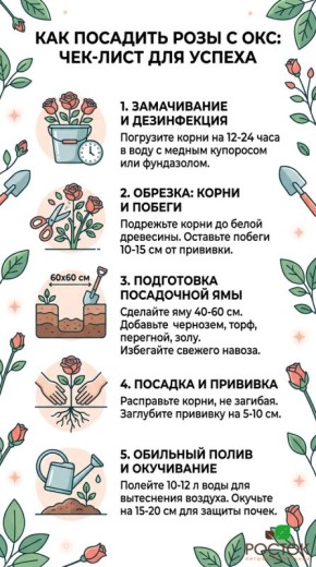 ��� ��������� ���������� ���� � �������� �������� ��������, ����� �������� �������������