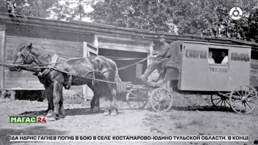 � ������ �������� ���� �������� ������ ������ ������