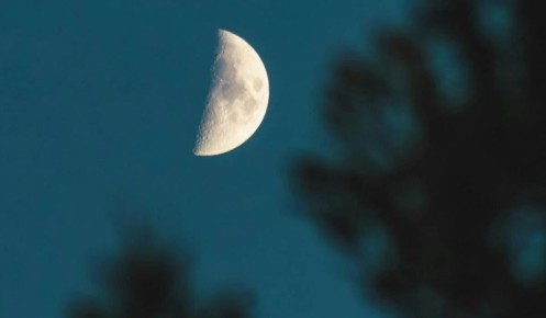 ������� 2025: ��������������� �������� � ������ ����