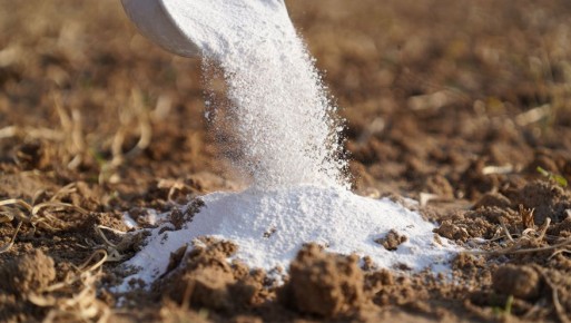 ��� ������ �������� ������ �����: �������� ����� ��������, ��������� � �����