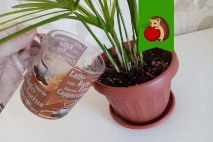 ������, ������� ����� ��������� ��������: ��� ����� �������