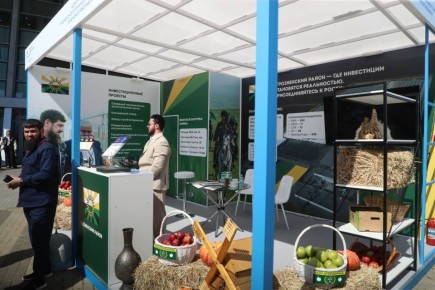 ������� �� �������� ����������� ��������������� ������ �������� ���������� ������� ���������