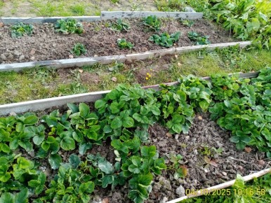 ��� �������� ������� ��������� �� ������ �������: ������ � ��������