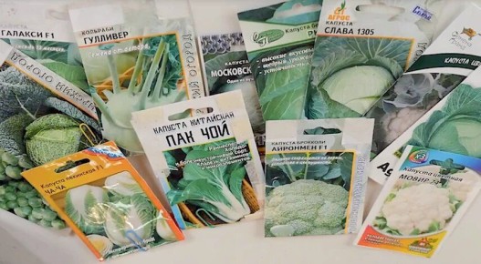 ��������� �� �������: ������ �� ������� �� ���������� ��� ������� � �������