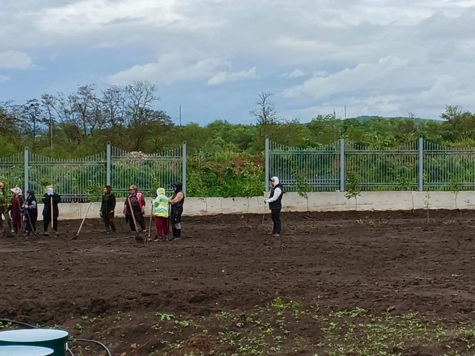 В с.п. Али-Юрт продолжается благоустройство территории новой участковой больницы на 30 коек и поликлиники на 100 посещений в смену по поручению Главы Ингушетии Махмуда-Али Калиматова В с.п. Али-Юрт продолжается благоустройство территории новой участковой больницы на 30 коек и поликлиники на 100 посещений в смену по поручению Главы Ингушетии Махмуда-Али Калиматова