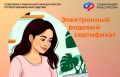 Отделение СФР по Ингушетии оформило более 3 тысяч родовых сертификатов для женщин и новорожденных региона с начала года