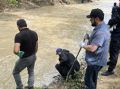 � ���������� ��������� ������������ ��������� ����������� �� ������������ ��������������� �������, ���������� � ���� �����