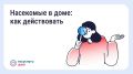 Борьба с насекомыми в многоквартирном доме