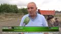 В Сунже начали укладку асфальта на улице Энгельса
