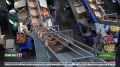 Иностранные торговые представители оценили потенциал "Сада-Гиганта" в Ингушетии