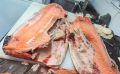 Норвежский лосось на казахстанских прилавках: опасная находка под прикрытием