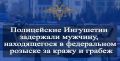 Полицейские Ингушетии задержали мужчину, находящегося в федеральном розыске за кражу и грабеж