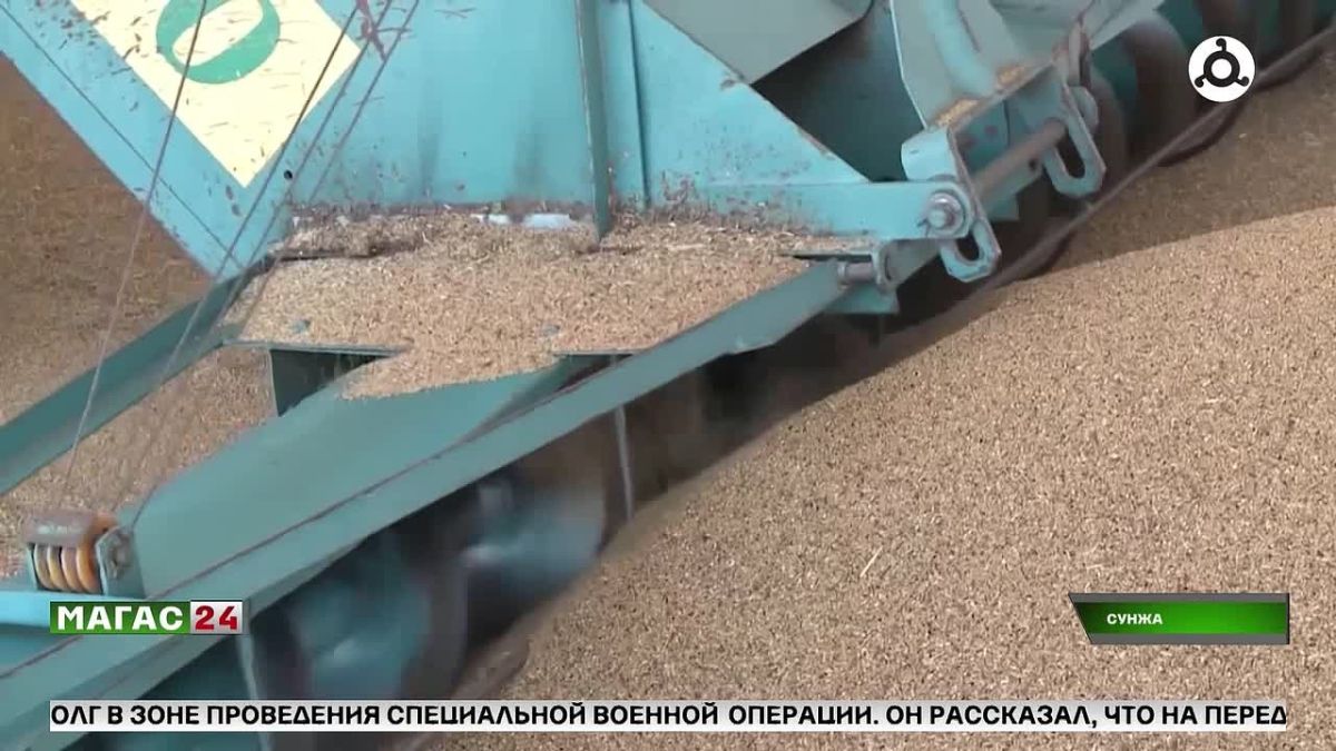 Ингушский филиал Россельхозцентра выполнил госзадания по семеноводству и защите растений на 100 %