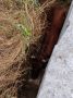 В 15:07 по мск 13.07.2026 года в центр обработки вызовов "Служба 112" поступило сообщение о том, что в с.п. Троицкое по улице Цокова в траншее между фундаментом провалилась корова