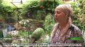 В Ингушетии продолжается приём заявок на республиканские конкурсы личных подсобных хозяйств
